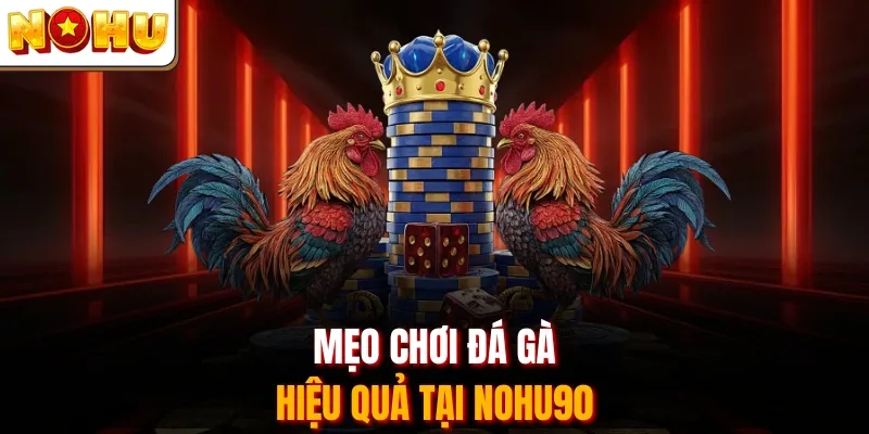 Mẹo chơi đá gà hiệu quả tại Nohu90