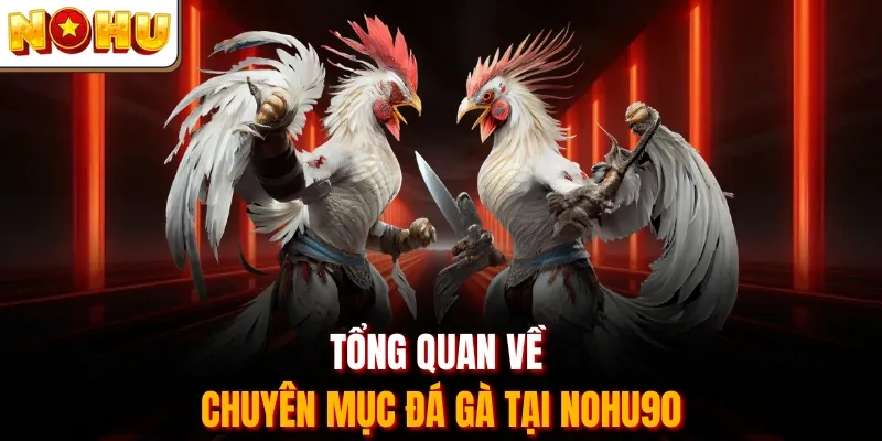 Tổng quan về chuyên mục đá gà tại Nohu90
